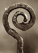 Wall_Art_Alphabet_Photography_Art_ 33